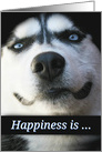 Cute Friendship, Siberian Husky Dog Friendship, Happiness Friendship card