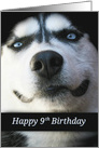 Cute Happy 9th Birthday, Smiling Dog, Happy 9th Birthday, card