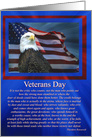 Veterans Day Patriotic Thank You for Serving Eagle and Flag card