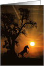 Blank Horse Rearing in the Sunrise, Pretty Horse Note card