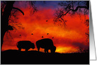 Buffalo Sunset Blank Native American Note Card, Bison card