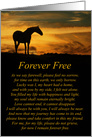 Spiritual Sympathy Card, Forever Free, Horse in Sunset Condolences card