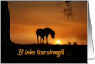 Loss of Horse, Horse Sympathy Having to Put Your Horse Down card