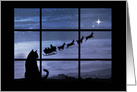 Cute Cat and Santa Christmas Happy Holidays card
