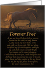 Spiritual Sympathy with Horse and Original Poem, Metaphysical New Age card
