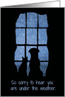 Cute Dog and Cat in the Window with Rain Get Well card