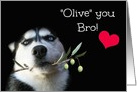 Cute Husky and Olive Branch I Love You Bro Valentine’s Day card