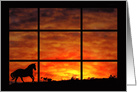 Horse Fine Art Any Occasion Blank, Horse and Sunset, Running Horse card