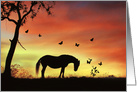 Horse and Butterflies, Thinking of You, Pretty Thinking of You Card