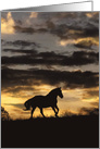 Beautiful Horse in Storm Fine Art, Blank Note card