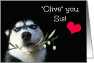 Cute and Funny Happy Mother’s Day, I Love You Sis, Pretty Husky Dog card
