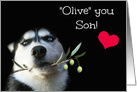 Son Happy Father’s Day, For Son Cute Husky I love You Son Father’s Day card
