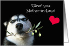 Happy Mother’s Day for Mother in Law, Cute Mother in Law Mother’s Day card
