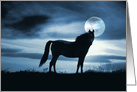 Horse and Moon Surreal Photography Fantasy Blue Sky Horse Blank Note card