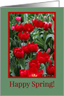 Happy Spring Beautiful Red an Pink Tulips Flowers card