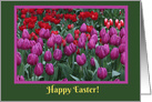 Happy Easter Spring Tulip Flowers of Red, Yellow and Purple card