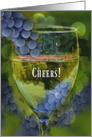 Fun Wine Themed Cheers Happy Birthday card