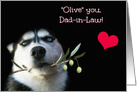 Fun I Love You Father In Law Happy Birthday with Cute Dog card