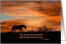 Alcohol and Addiction Recovery Encouragement with Horse and Sunrise card