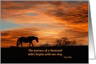 Beautiful Horse Encouragement with Lao Tzu Quote of 1000 Miles card