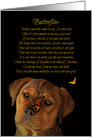 Spiriutial Holistic Sympathy with Poem, Butterflies and Puppy card