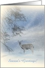 Custom Season’s Greetings Deer Pine Trees and Snow card