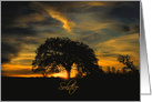 Oak Tree Sunset Summer Solstice Longest Day of the Year card