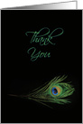 Thank You with Peacock Feather card