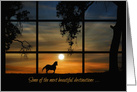 Cancer Support Get Well Encouragement Horse in the Sunset card