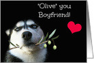 Happy Birthday to My Boyfriend, I Love My Boyfriend Cute Dog card