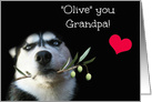 Grandpa or Grandfather Happy Birthday, Cute I Love You Grandpa card