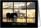 Horse Get Well, Wellness Journey, Holistic Good Intentions Get Well card