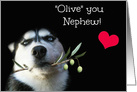 Nephew Happy Birthday Cute Dog and Funny Saying card