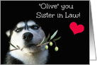 Sister in Law Happy Birthday Cute Husky Dog and Heart card
