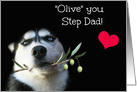 Step Dad Happy Birthday with Husky and Rose card