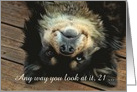 Cute and Funny Dog You Look Good Happy 21st Birthday Customizeable card