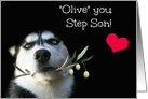 Happy Birthday Step Son, I love you Step Son Cute Husky card