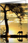 Horse and Sunshine Encouragement card