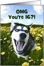 Super Cute Husky and Wild Flowers Happy 16th Birthday Customizeable card