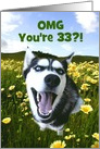 Super Cute Husky Dog Happy 33rd Birthday Customizeable card