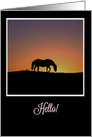 Horse Hello You are in my Thoughts card