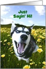 Cute Husky Hello Customizable card