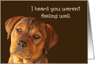 Feel Better Sweet and Concerned Puppy Get Well card