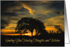 Oak Tree and Sunrise Get Well, Sending Healing Thoughts and Wishes card