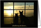 Sheltering at Home Corona Virus Thinking of You Cat and Dog Window card