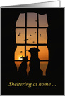 Cute Sheltering at Home Dog and Cat Thinking of You card