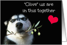 Pandemic Corona Virus Encouragement Husky and Olive Branch Heart card