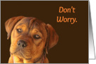 Sweet Puppy Don’t Worry it Will Be Okay Encouragement card