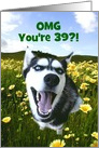 Cute Custom Husky Dog Happy 39th Birthday card