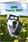 Cute Happy 42nd Cutomizable Birthday With Husky and Wildflowers card